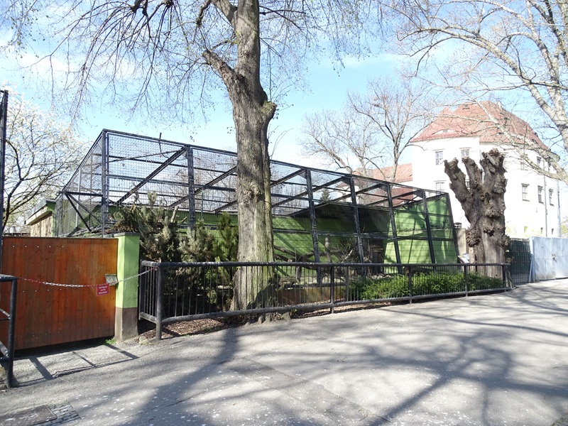 First leopard enclosure