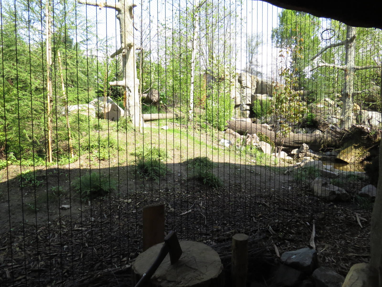 First leopard viewing area, April 2014.