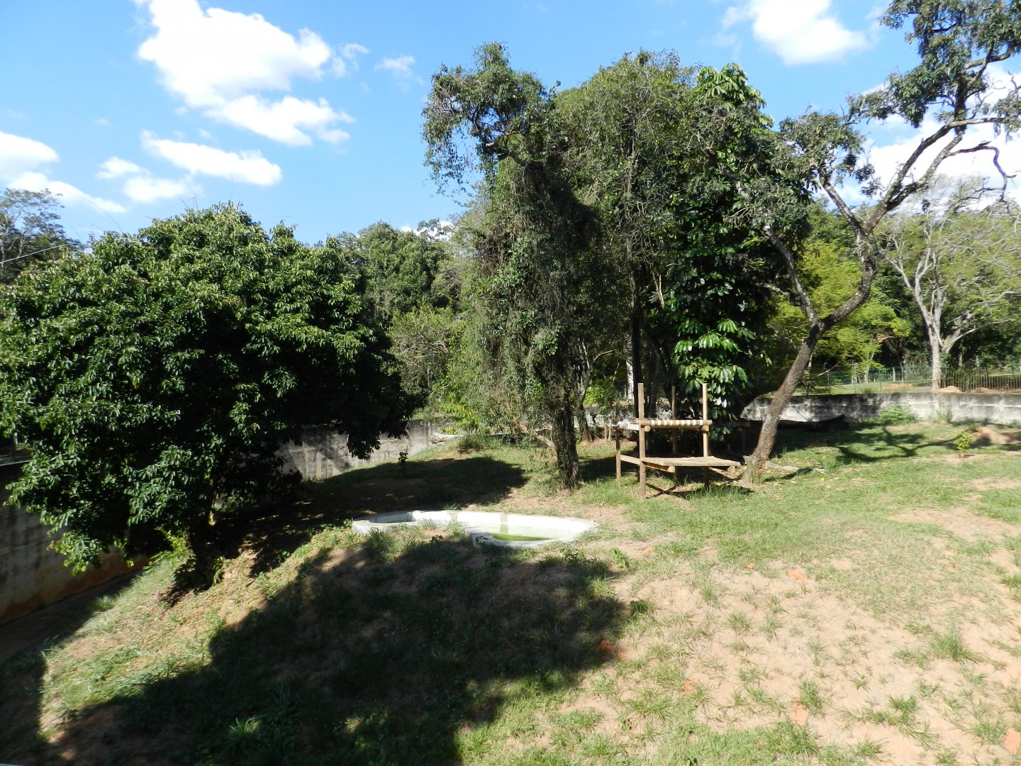 First lion exhibit - Belo Horizonte zoo