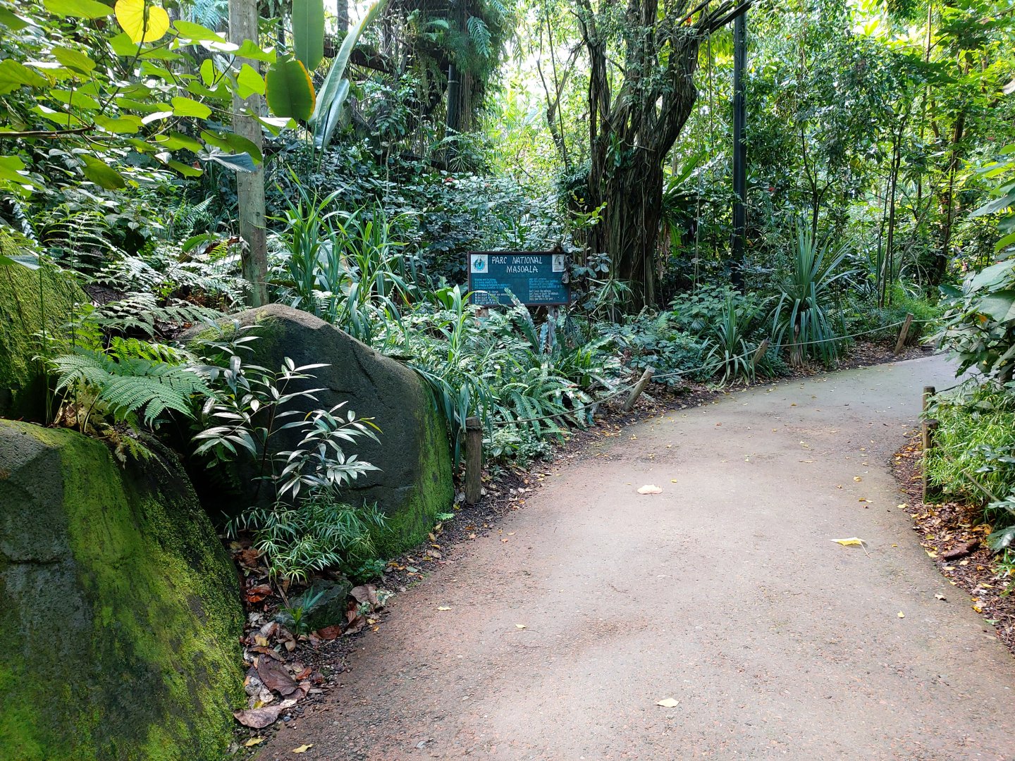 First look at the vegetation (July 2020)