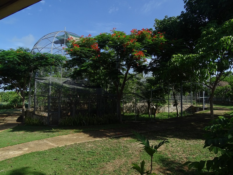 First look into zoo: Aviaries