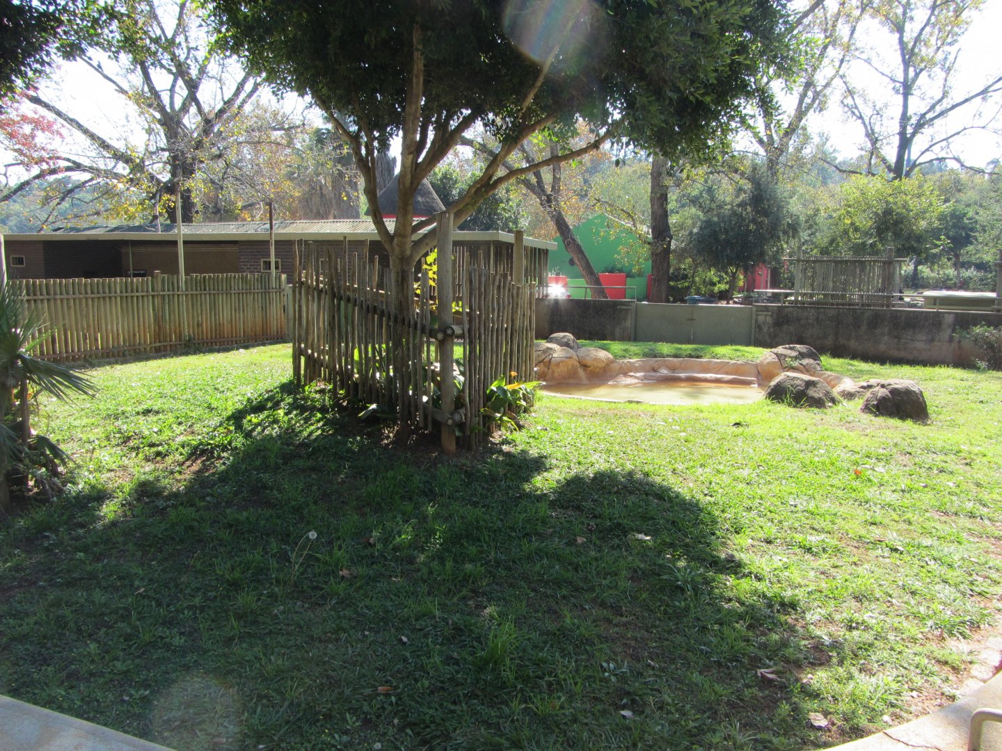 First Malayan Tapir Yard