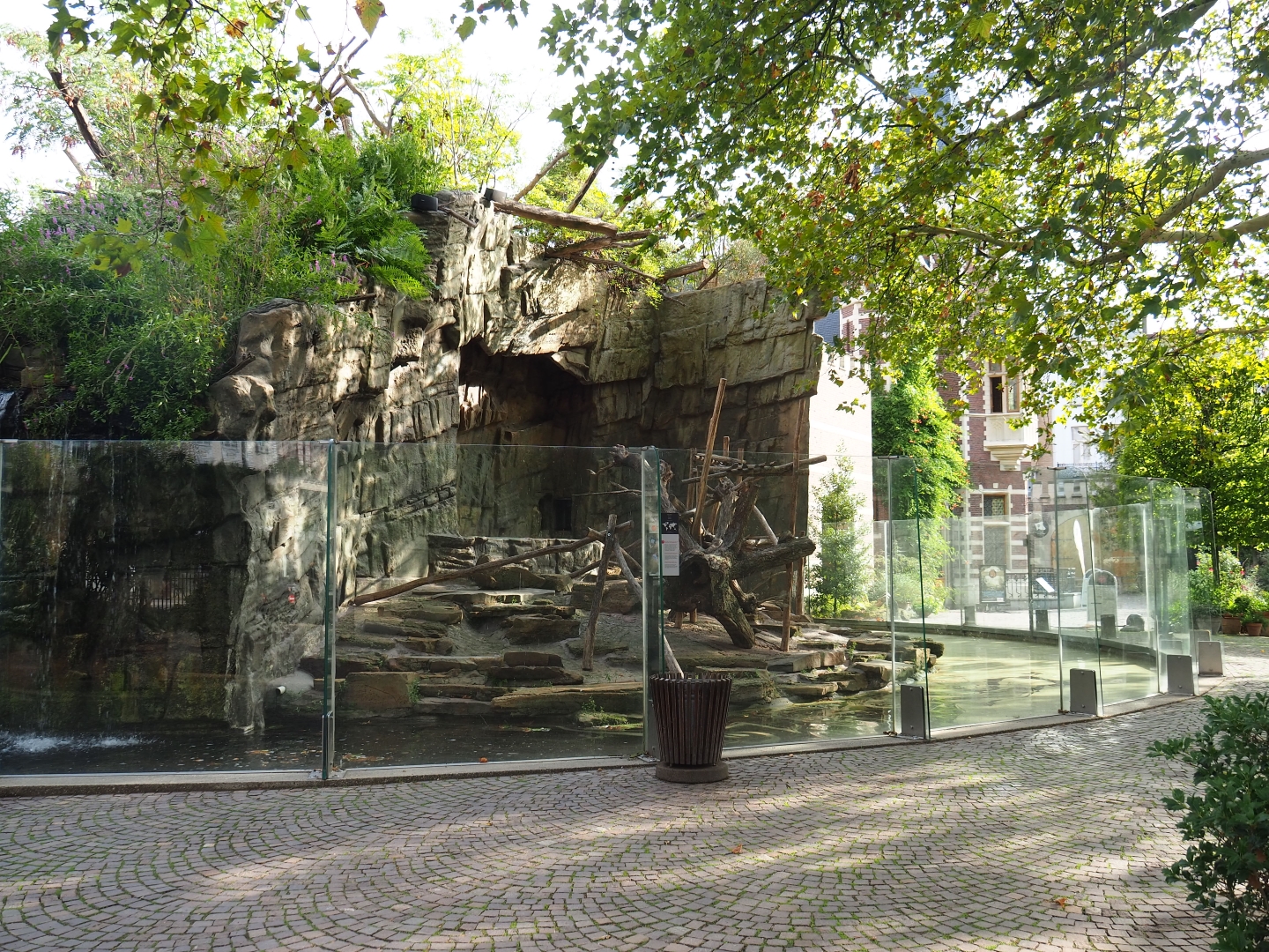 First mandrill enclosure