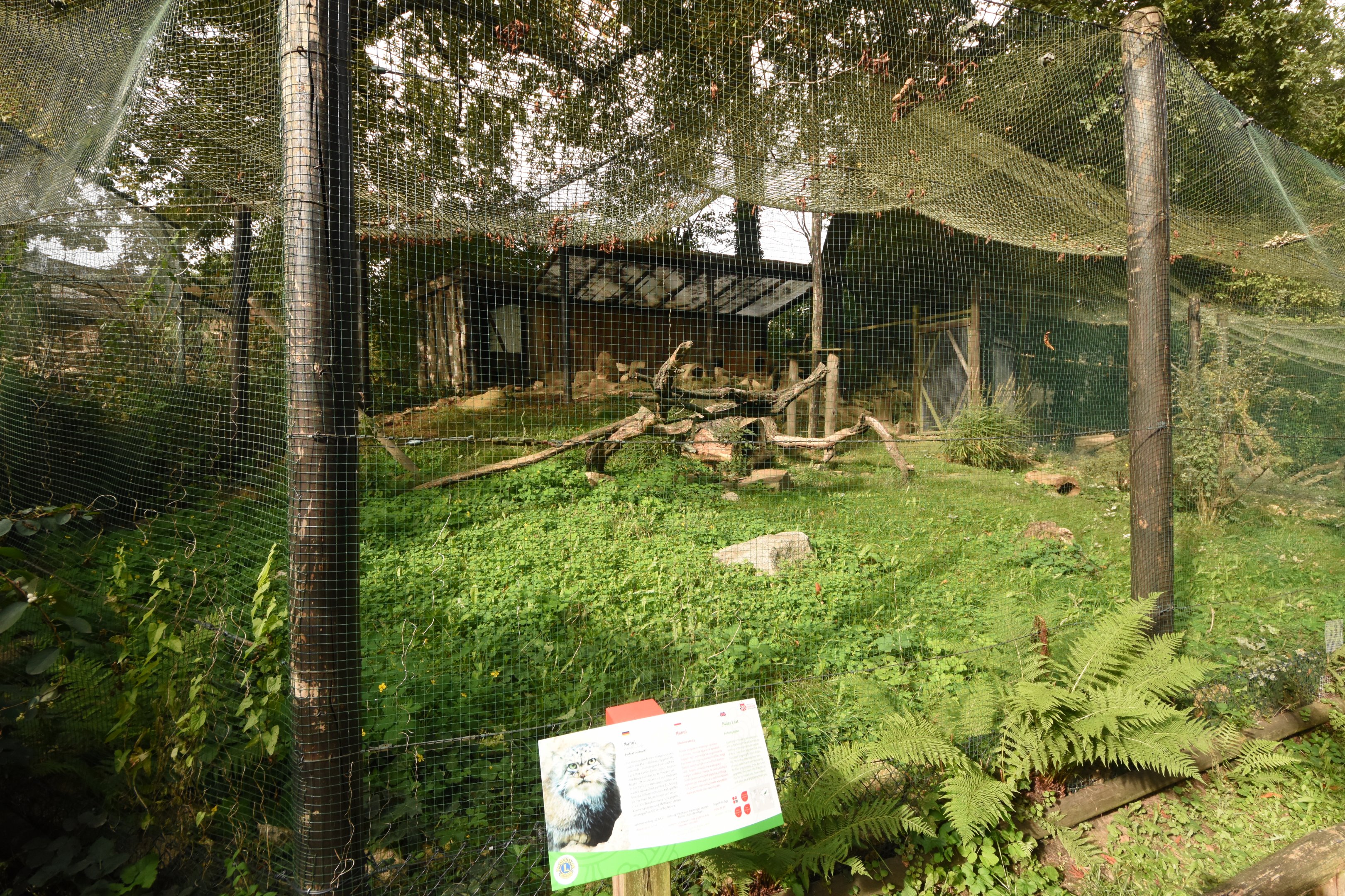 First Manul enclousre