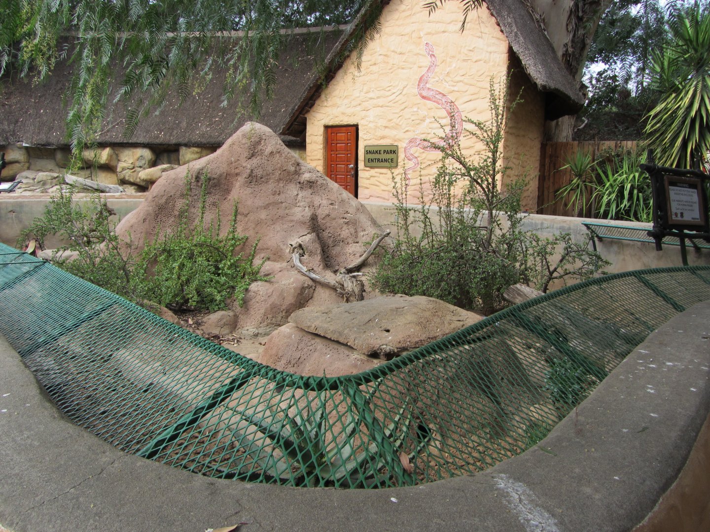 First Meerkat Exhibit