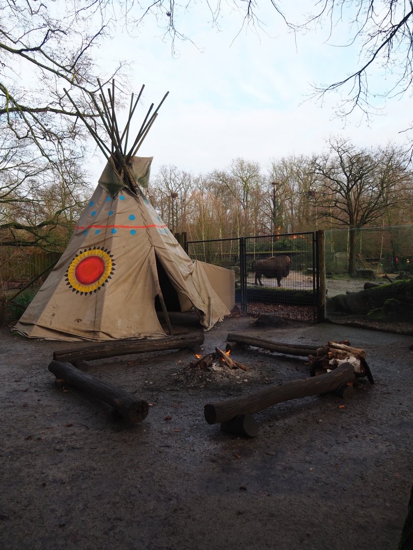 First Nations camp area next to American Plains bison and Rocky Mountain wapiti exhibit, 2024-01-01