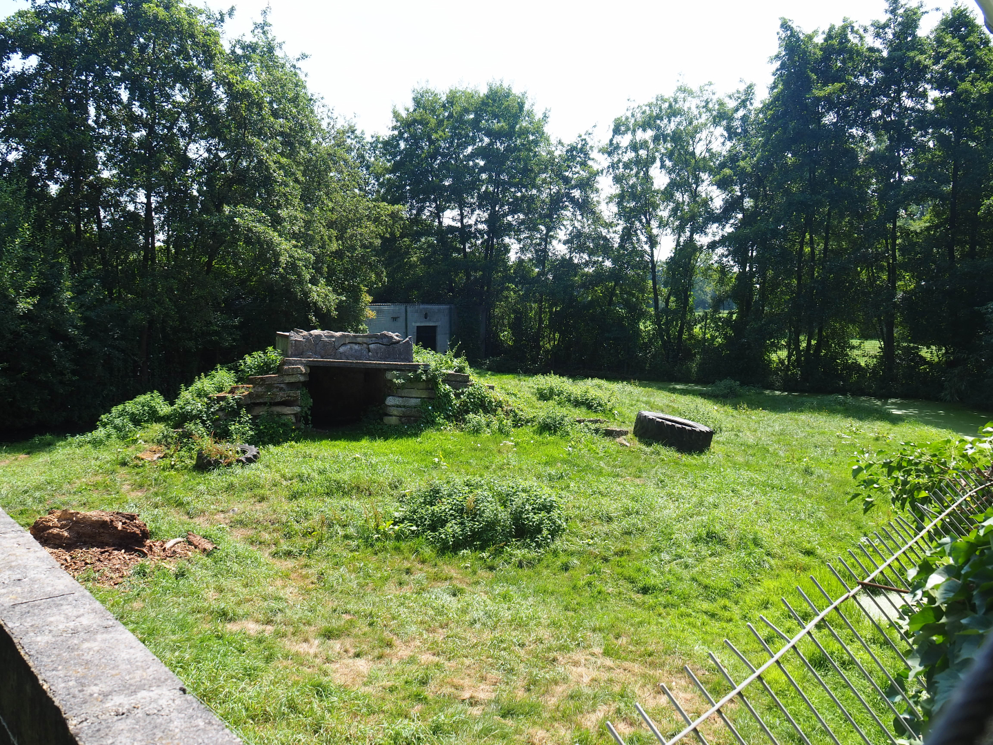 First non-subspecies specific tiger exhibit, 2019-08-04