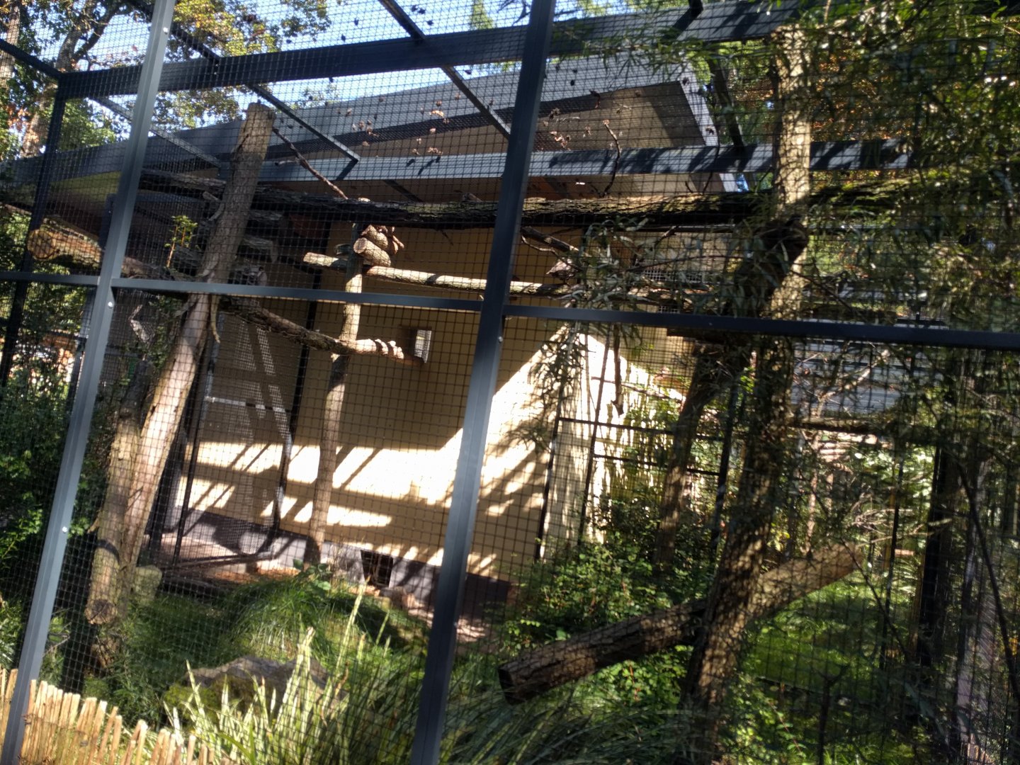 First  North American Aviary