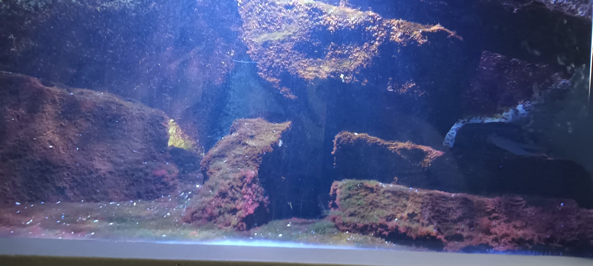 First North sea and north east Atlantic Tank