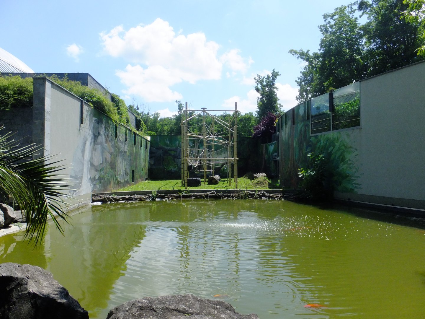 First orangutan enclosure