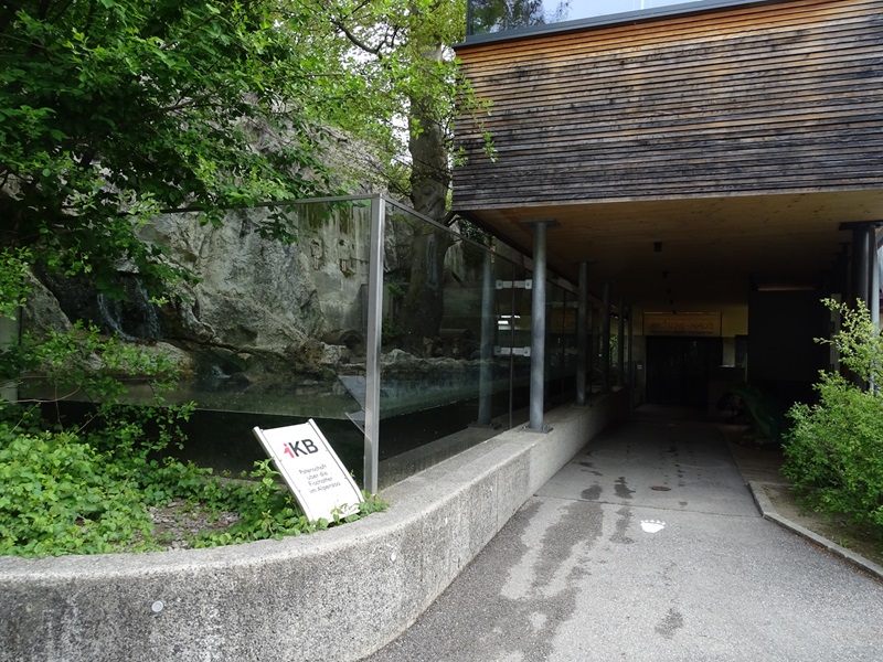 First otter enclosure and hallway towards vivarium