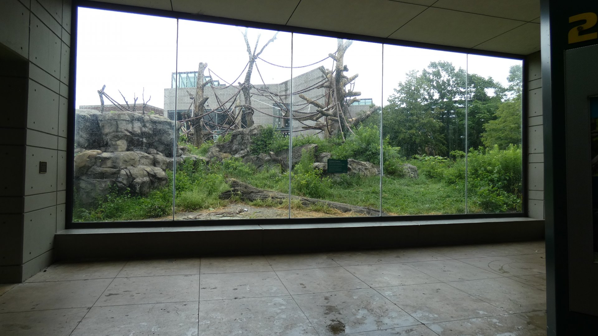 First Outdoor Exhibit Viewing Area, Center For African Apes - July 2021