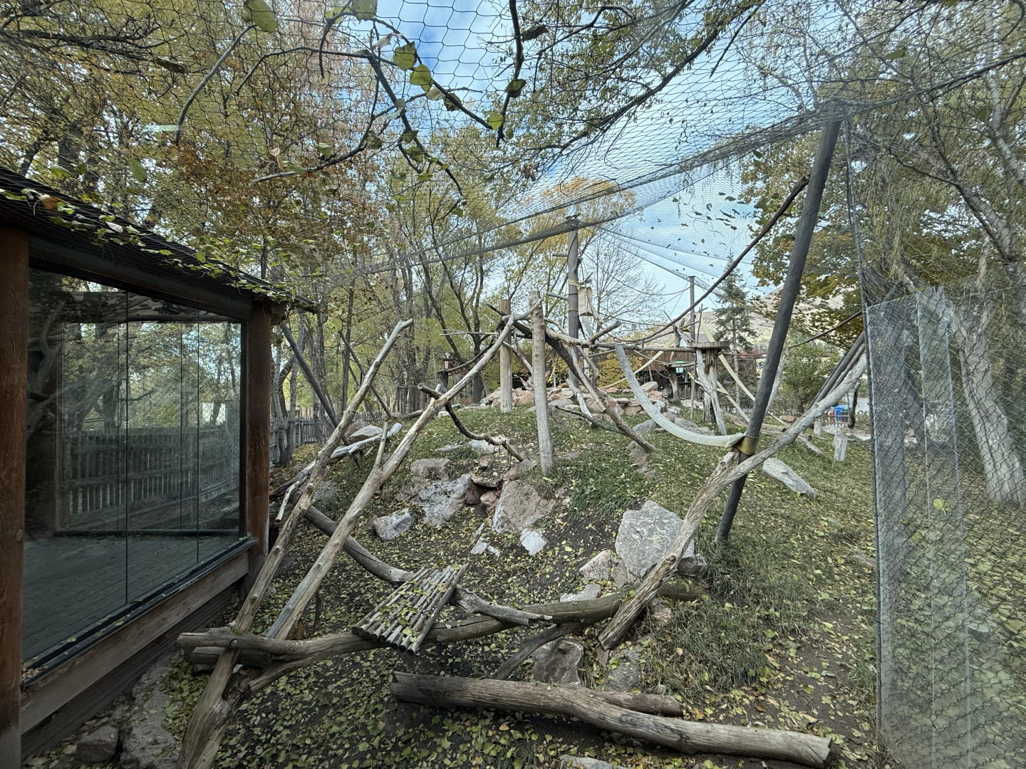 First Outdoor Habitat - Primate Forest