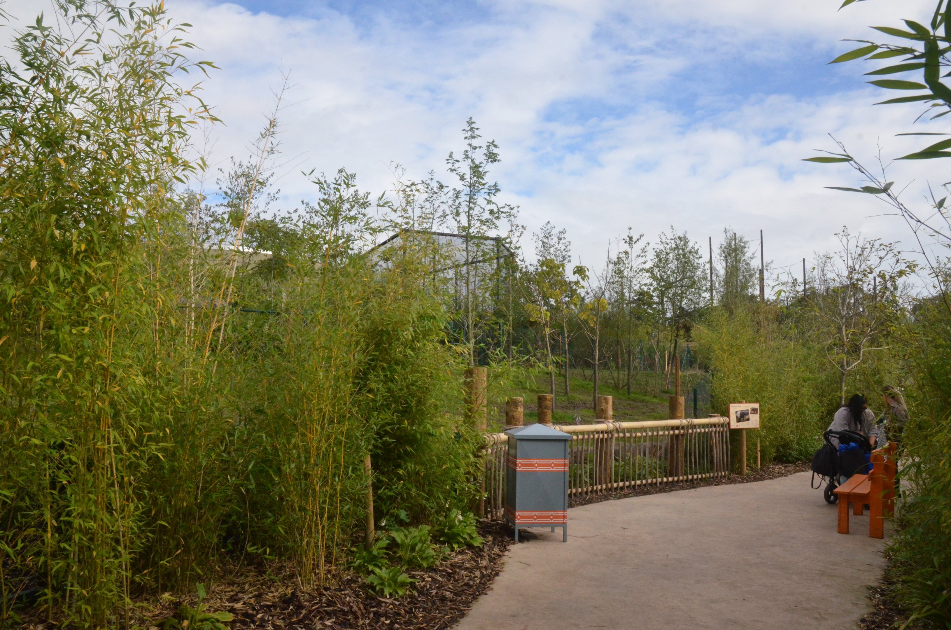 First Outdoor Malayan Tapir Viewing Area at Chester, 30/09/17