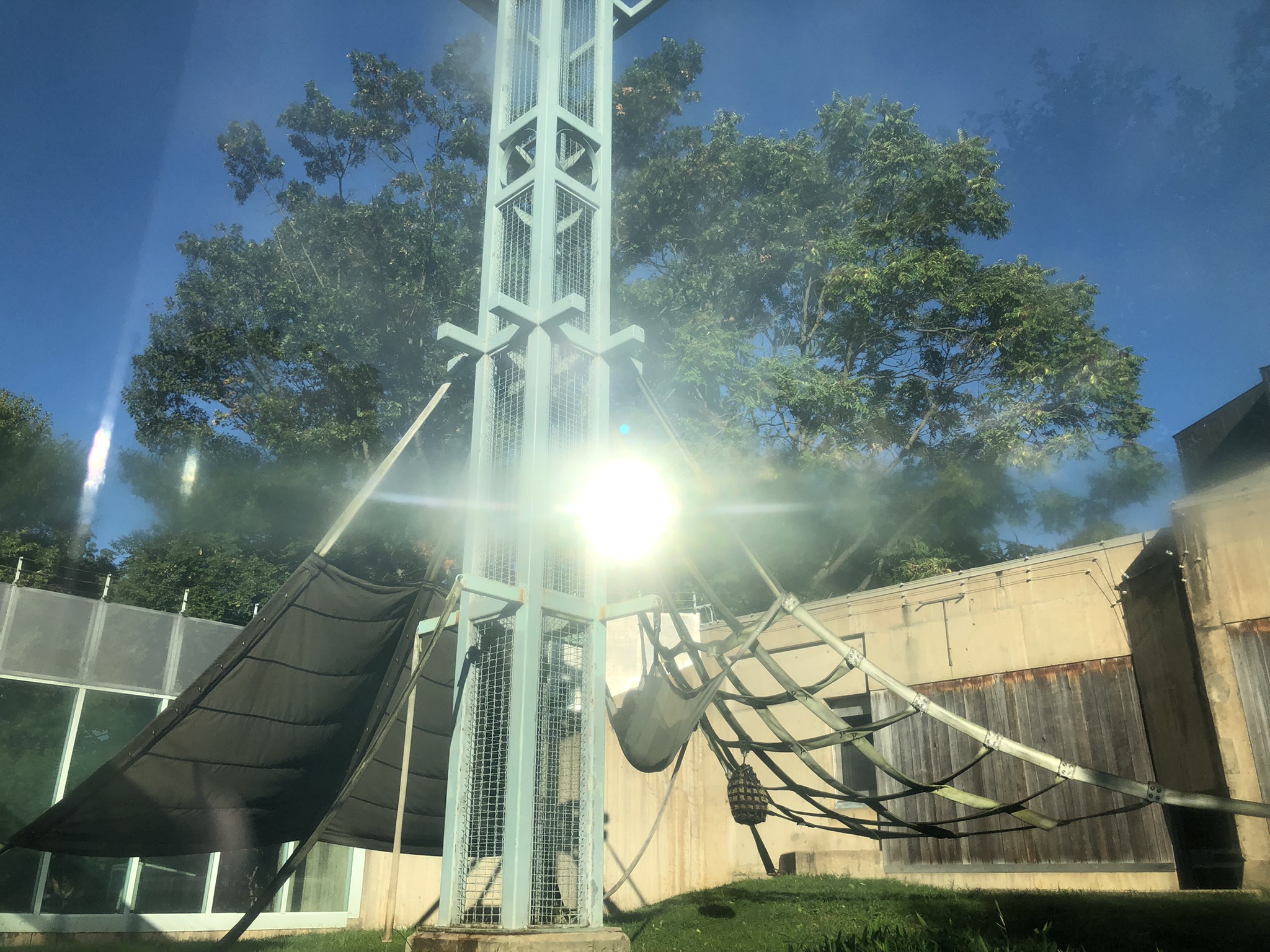 First outdoor orangutan exhibit