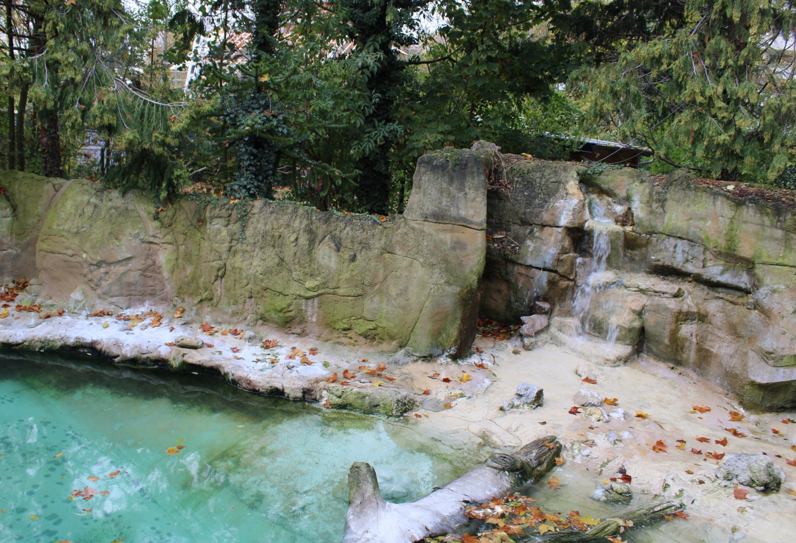 First part Humboldt penguin-enclosure