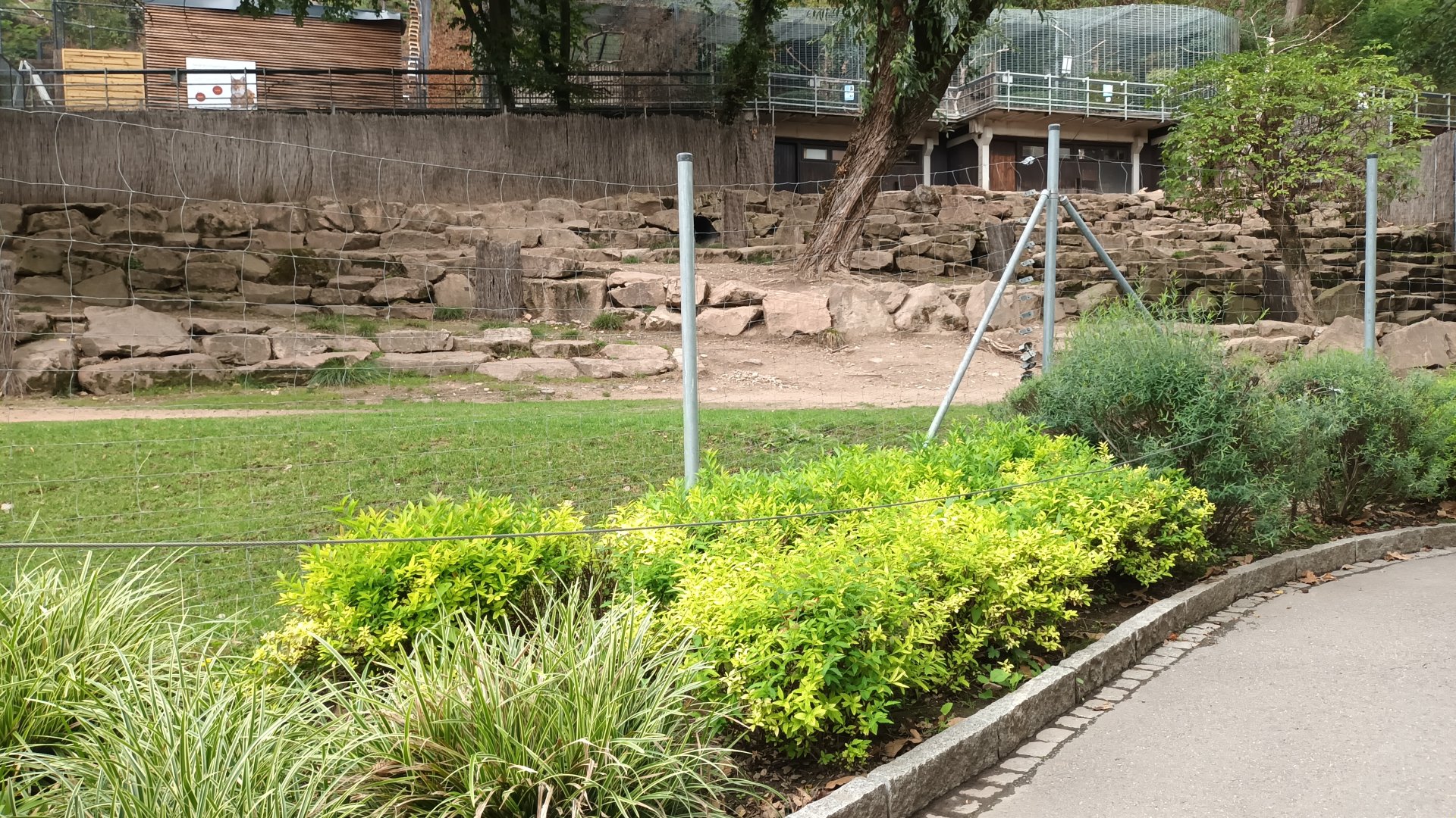 First part of Goitered Gazelle Enclosure