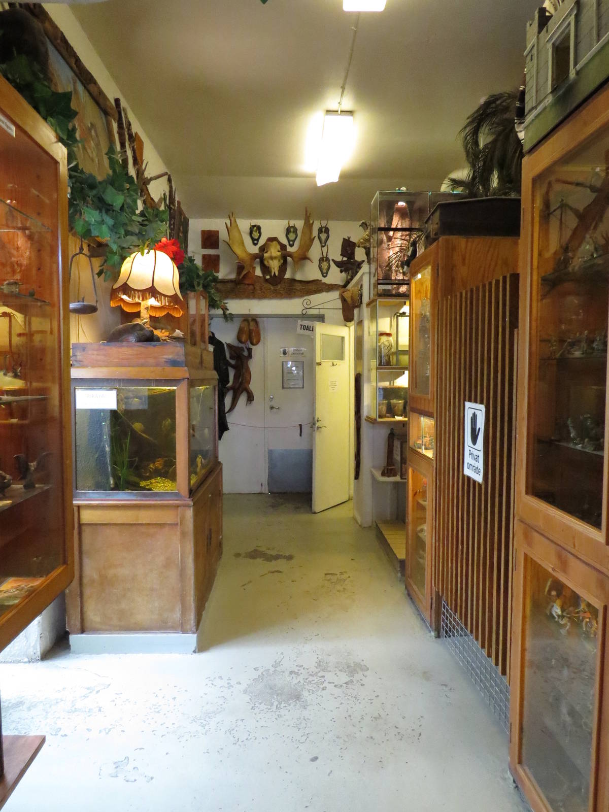 First passage, June 2015