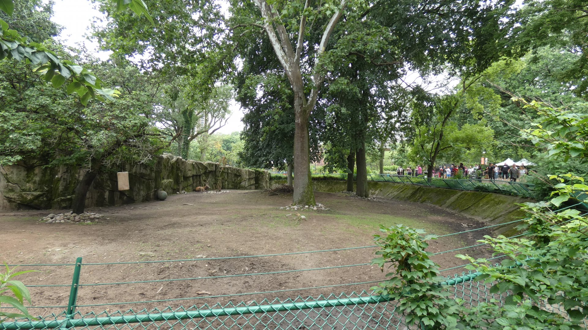 First Père David's Deer Yard (Former Zebra), Hoofstock Paddocks - July 2022