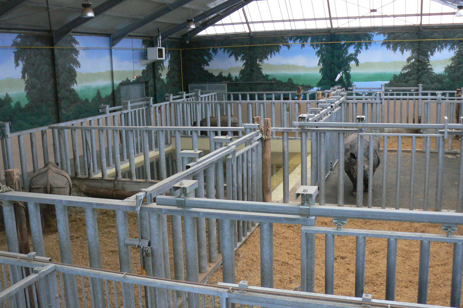 First photo of the three indian rhinos at the zoo