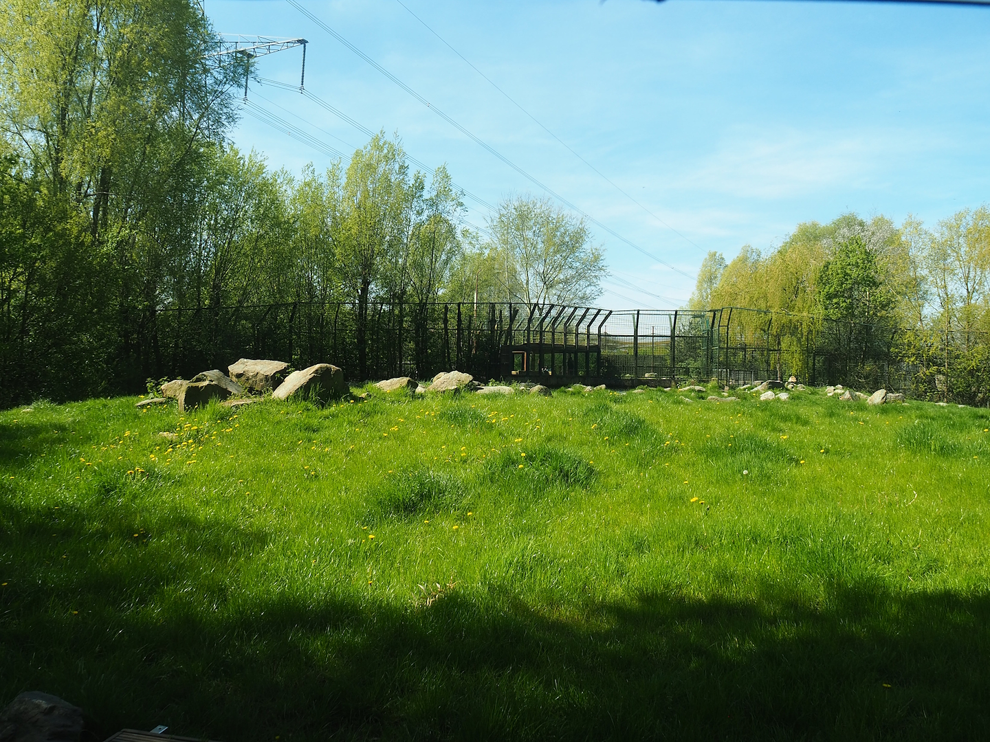 First polar bear exhibit, 2023-04-30