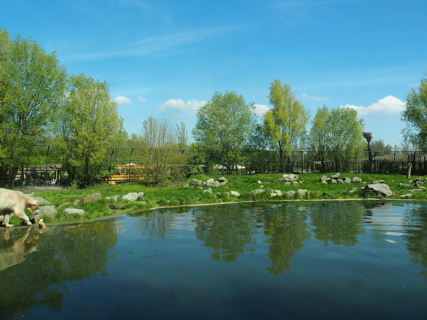 First polar bear exhibit, 2023-04-30