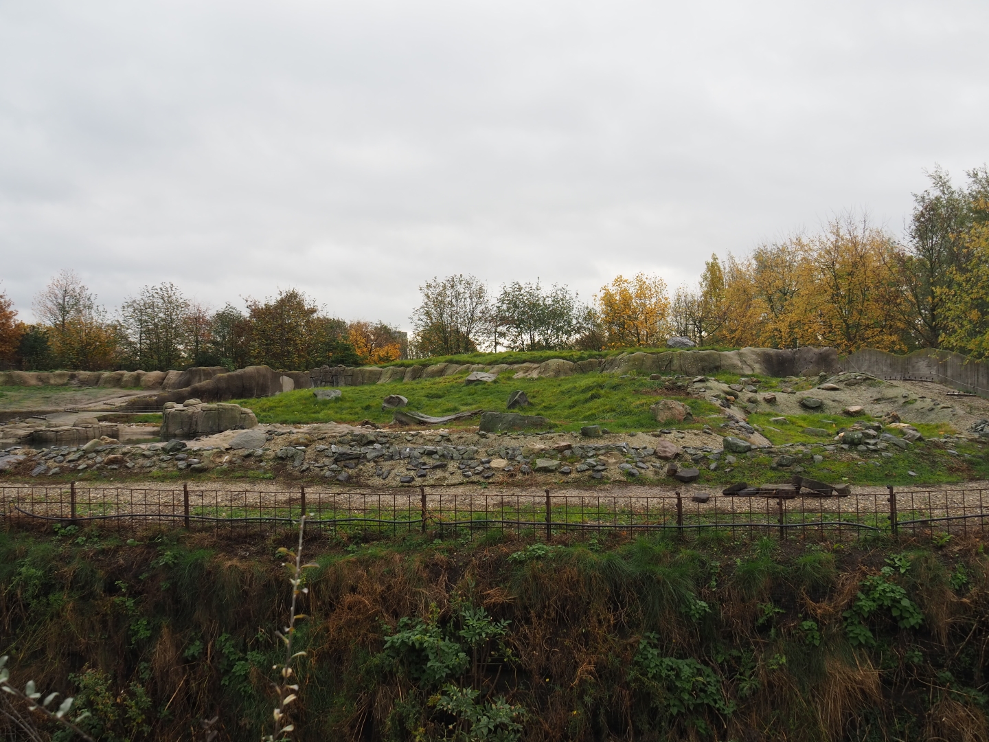 First polar bear exhibit (Nov 10th, 2018)