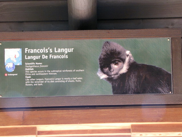 First Posted Francois' Langur Sign