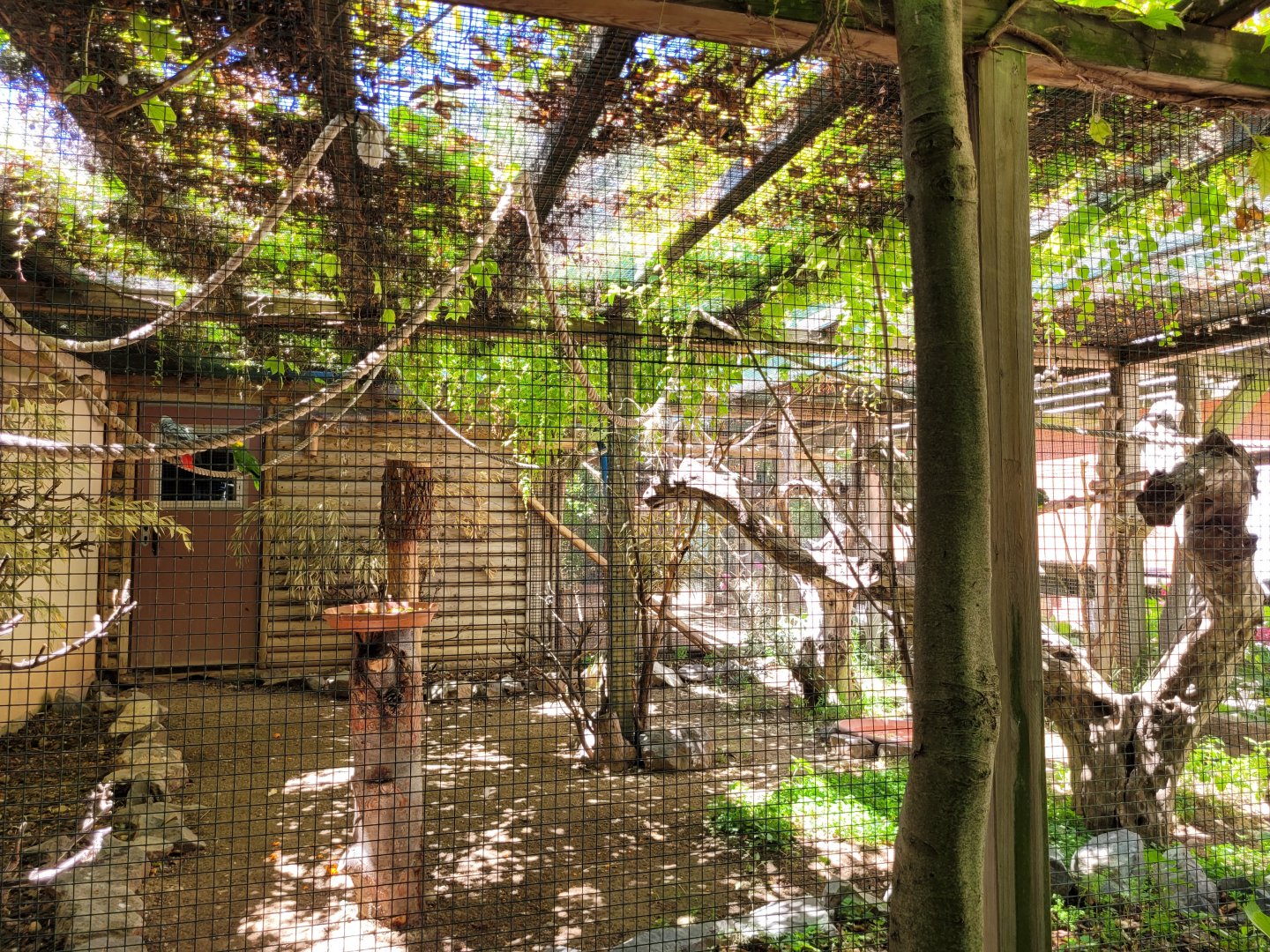 First psittaciformes exhibit -Sendaviva (2024)