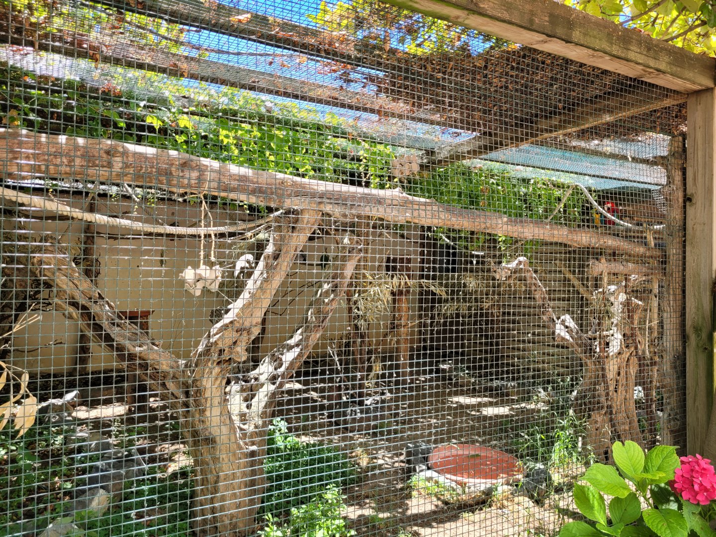 First psittaciformes exhibit -Sendaviva (2024)