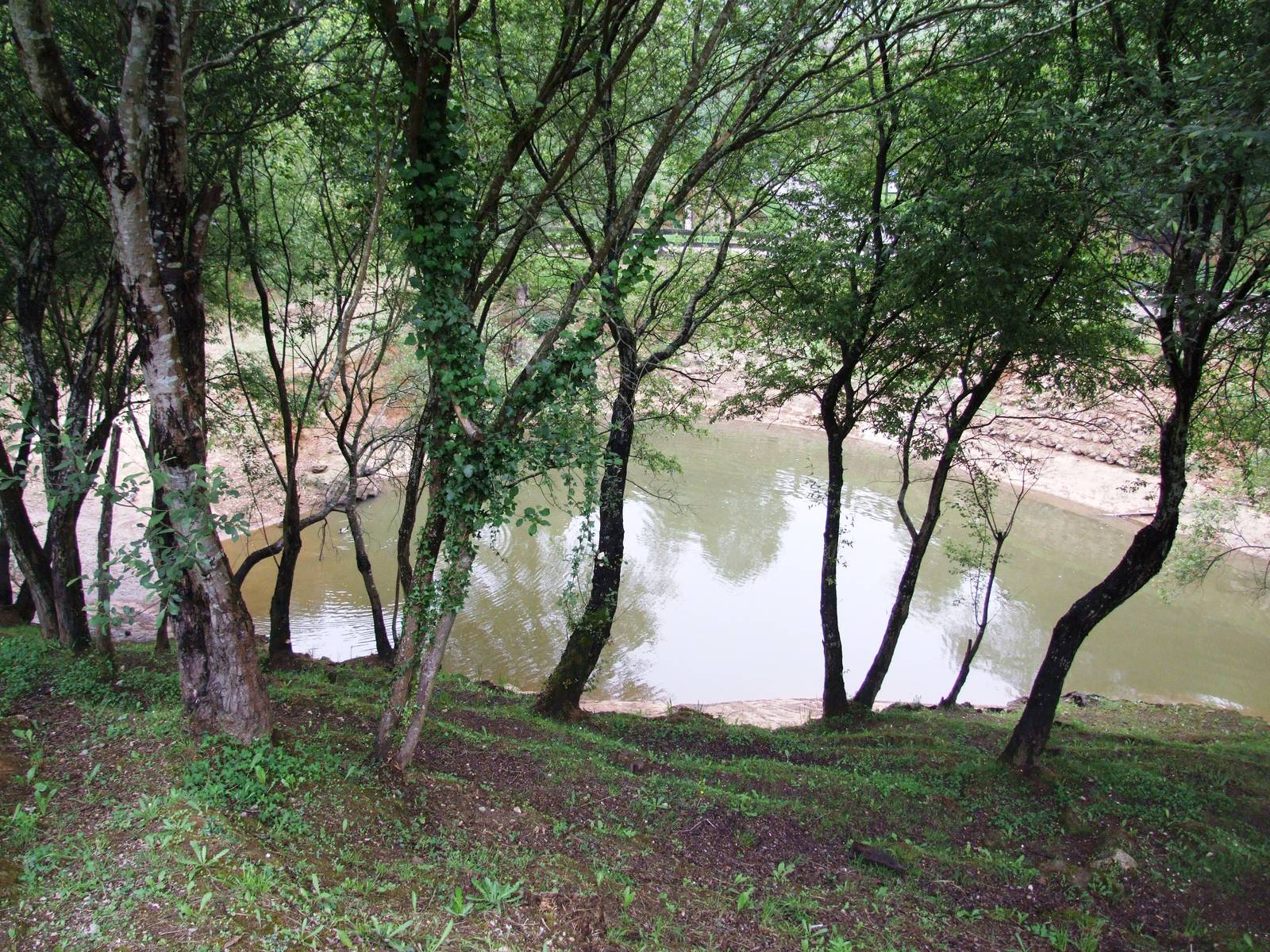 First Pygmy Hippo Enclosure at Cabarceno, 11/06/15