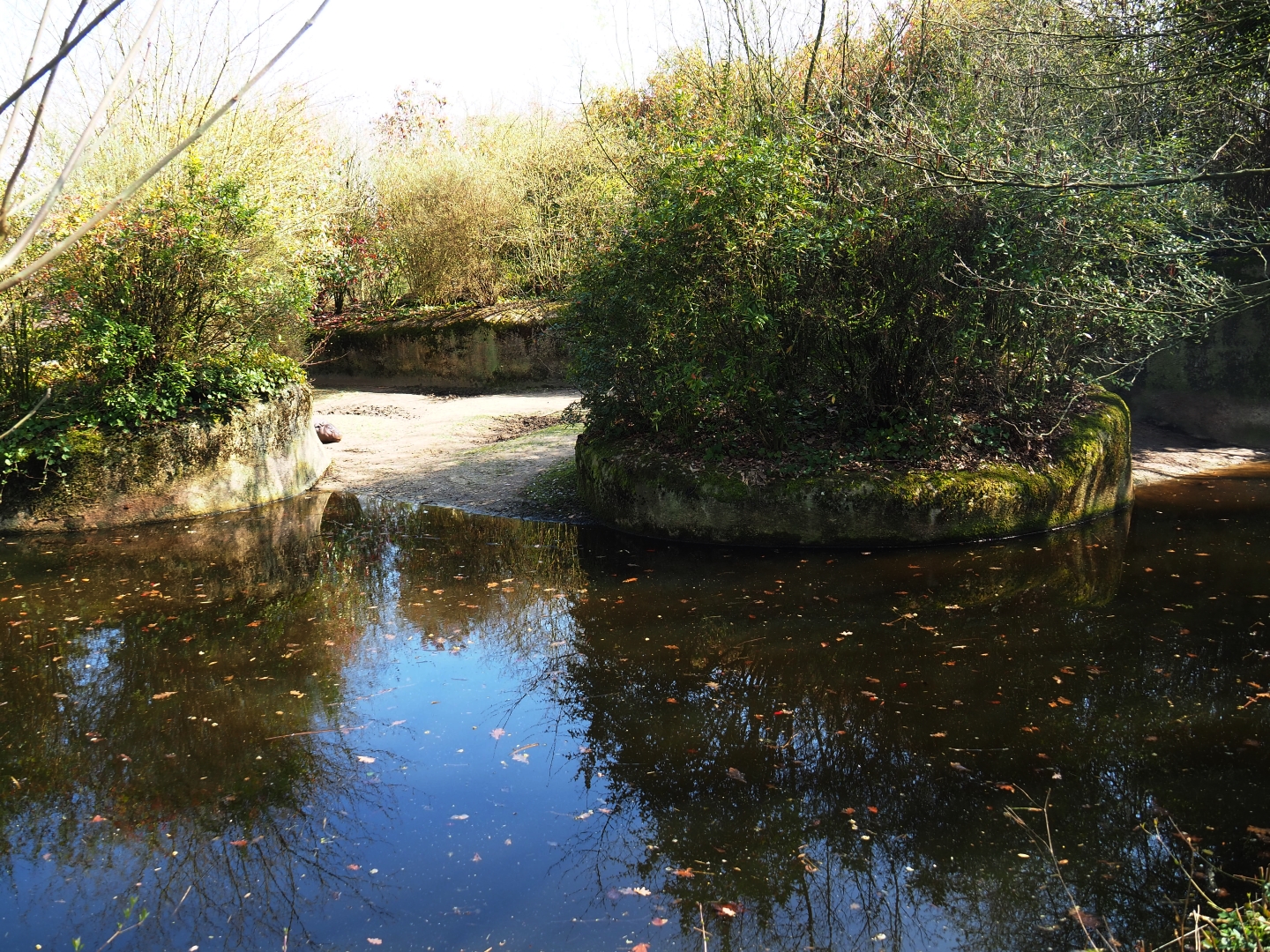 First pygmy hippopotamus exhibit, 2019-03-30