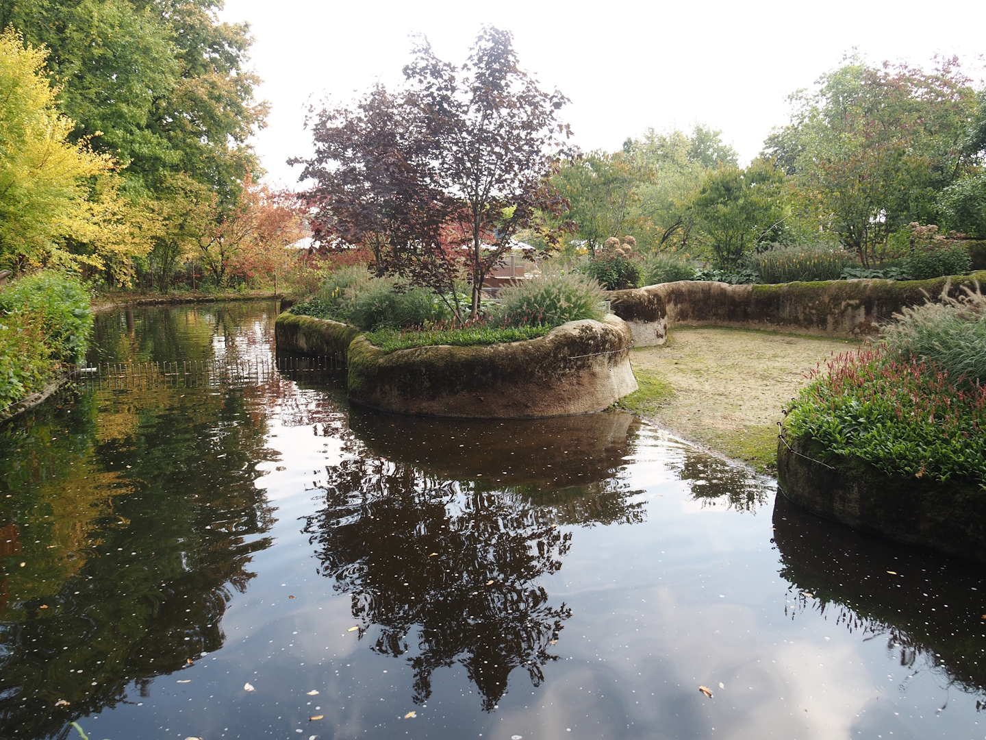First pygmy hippopotamus exhibit, 2025-09-30