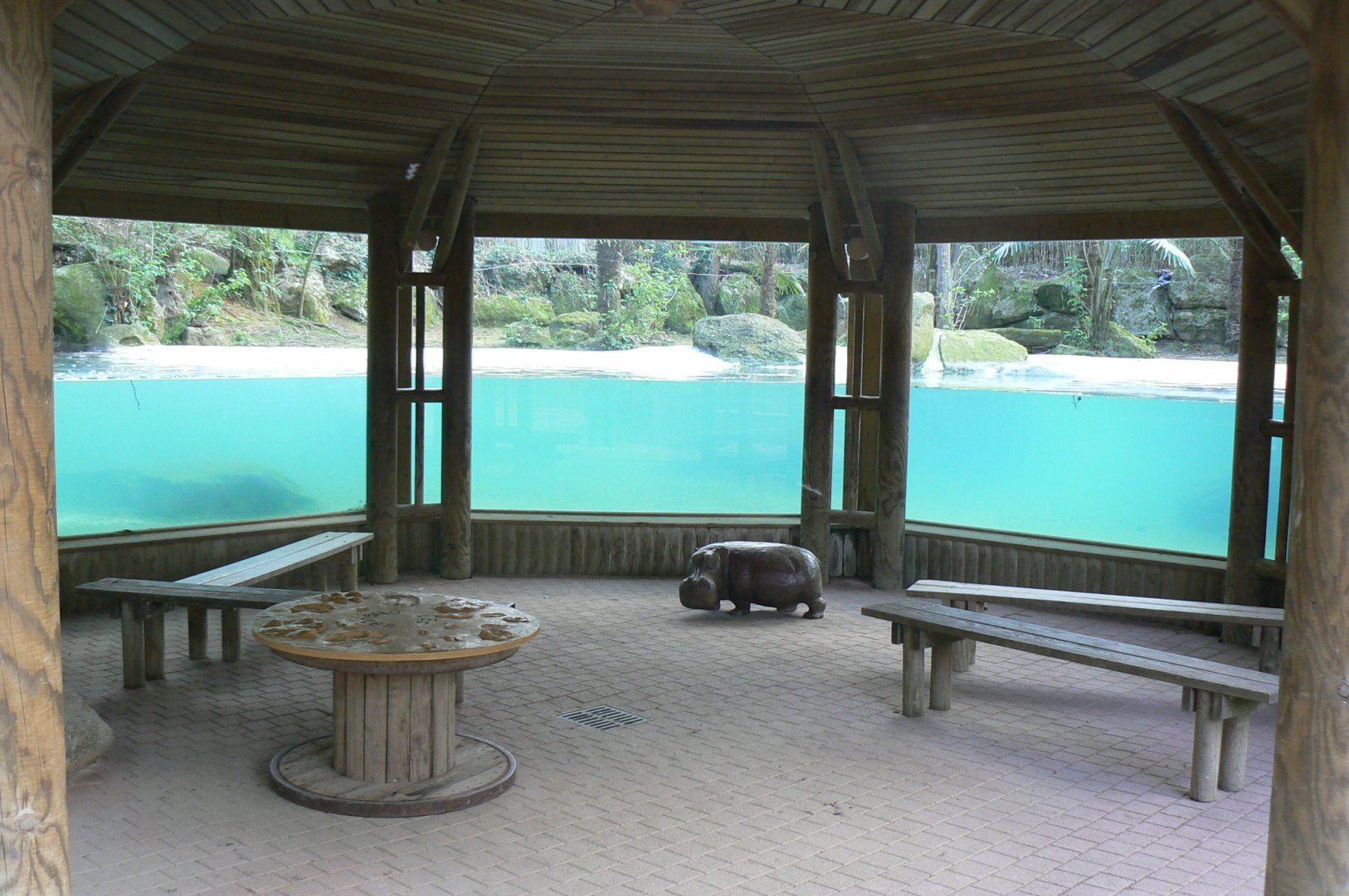 First pygmy hippos enclosure with underwater viewing