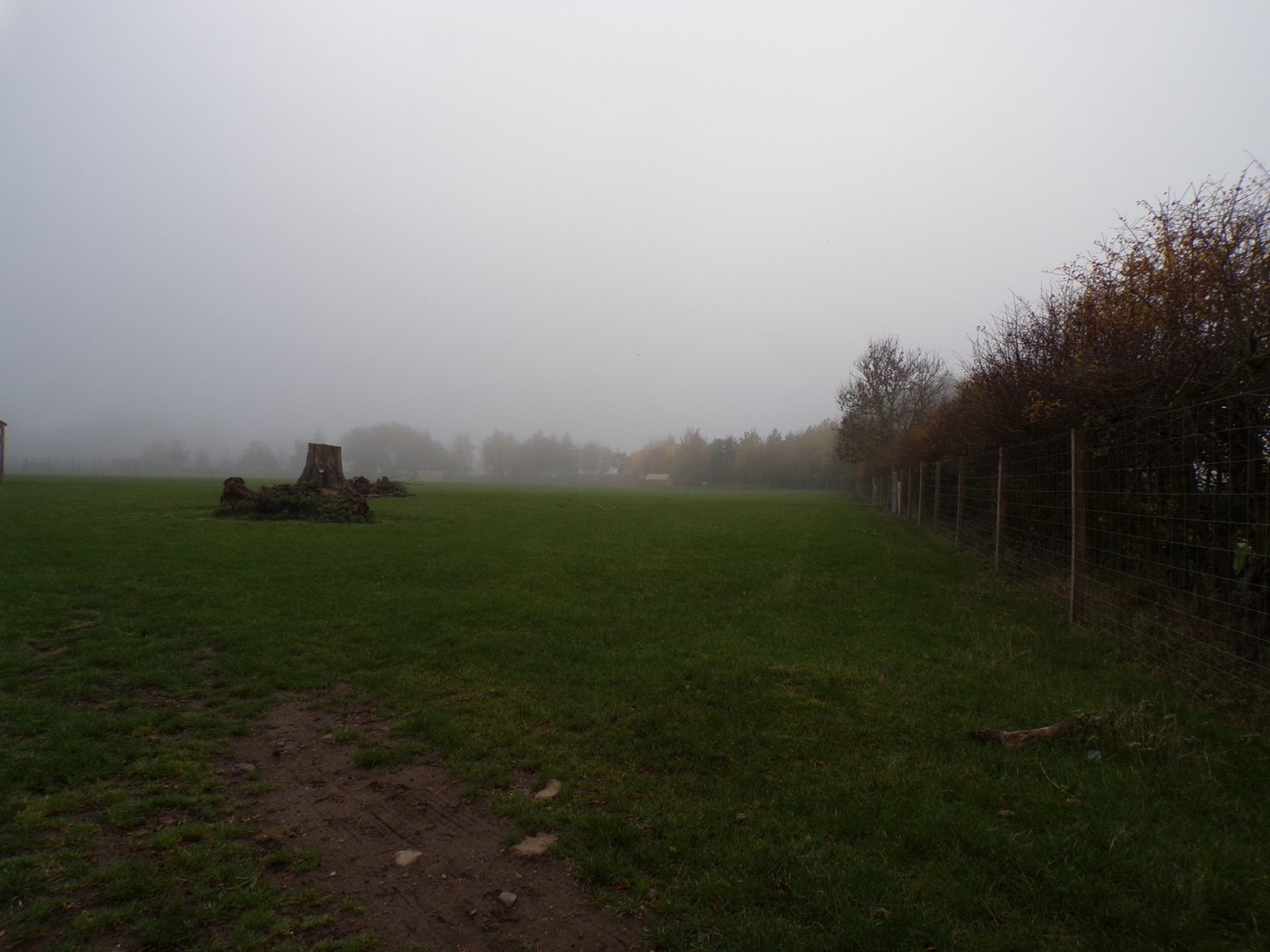 First Red deer enclosure (2)