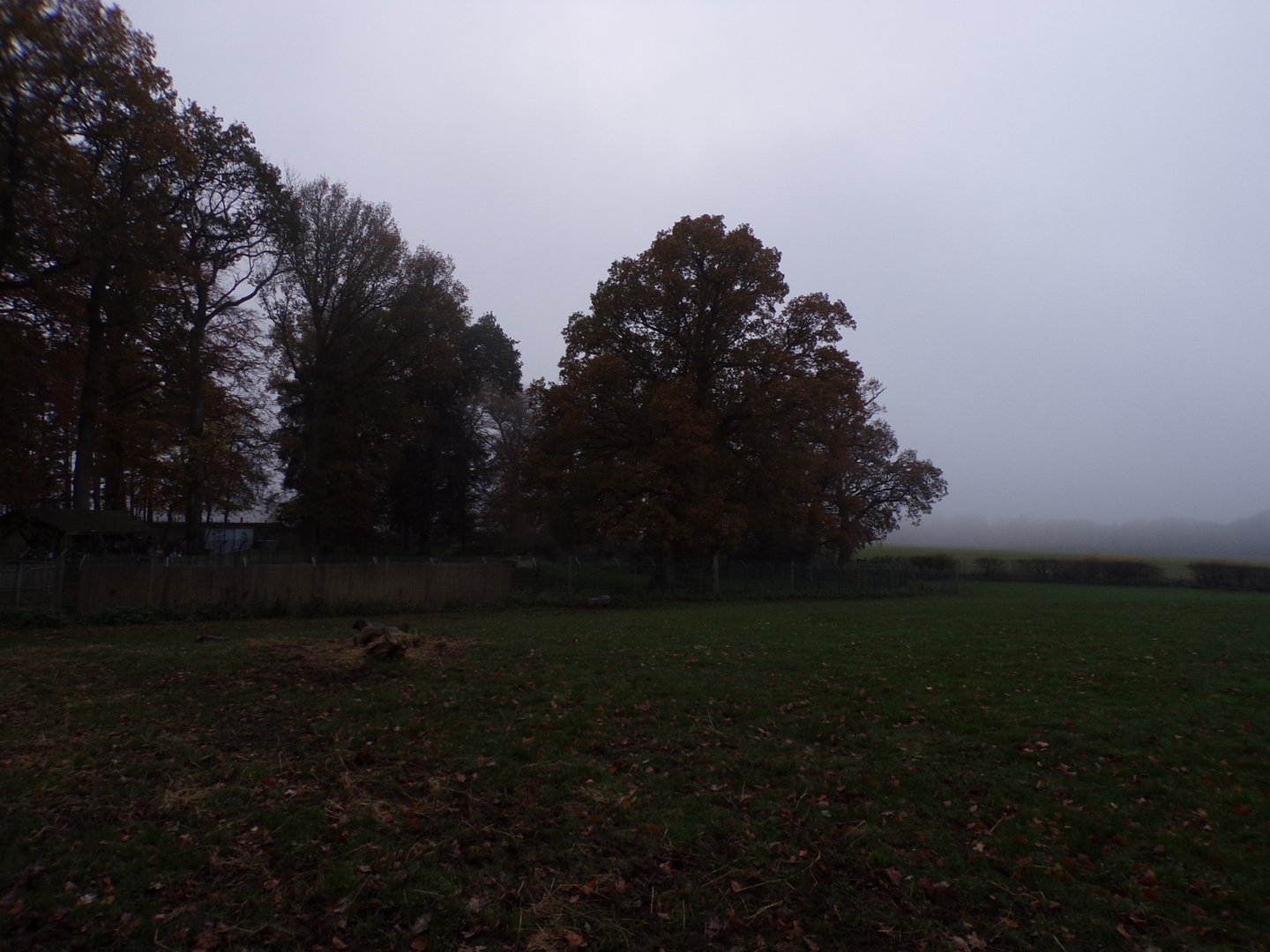 First red deer enclosure (2)