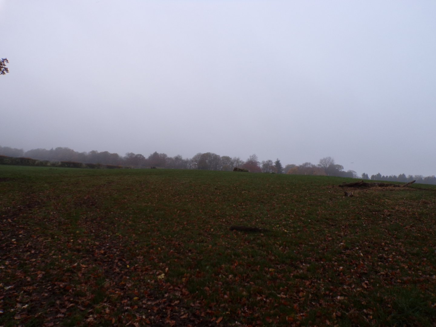 First red deer enclosure