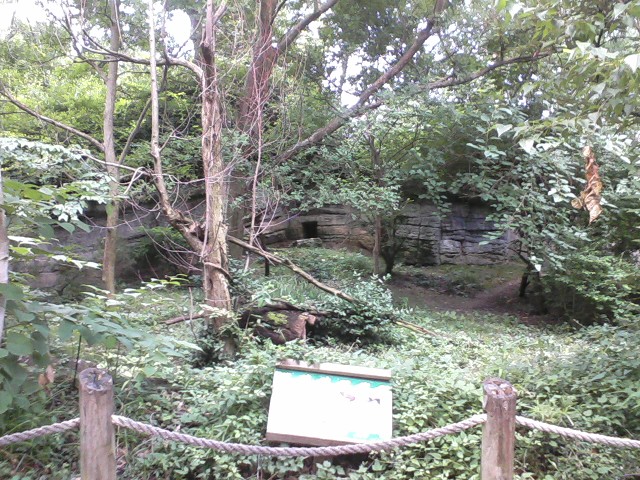 First Red Panda exhibit