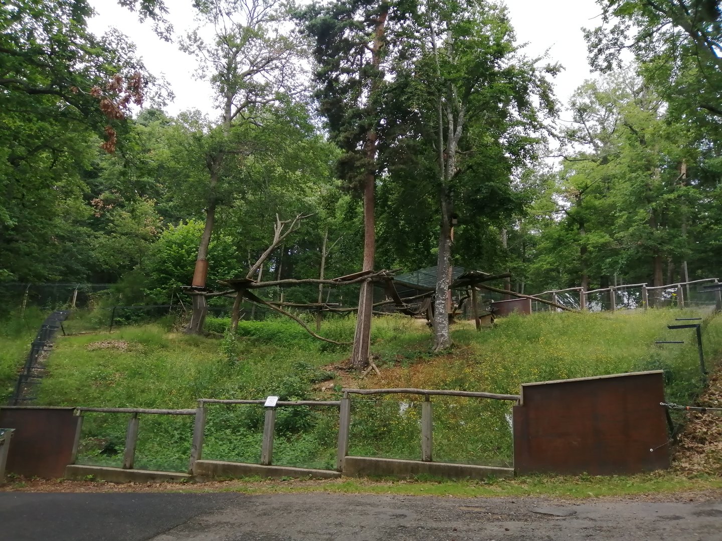 First red panda exhibit