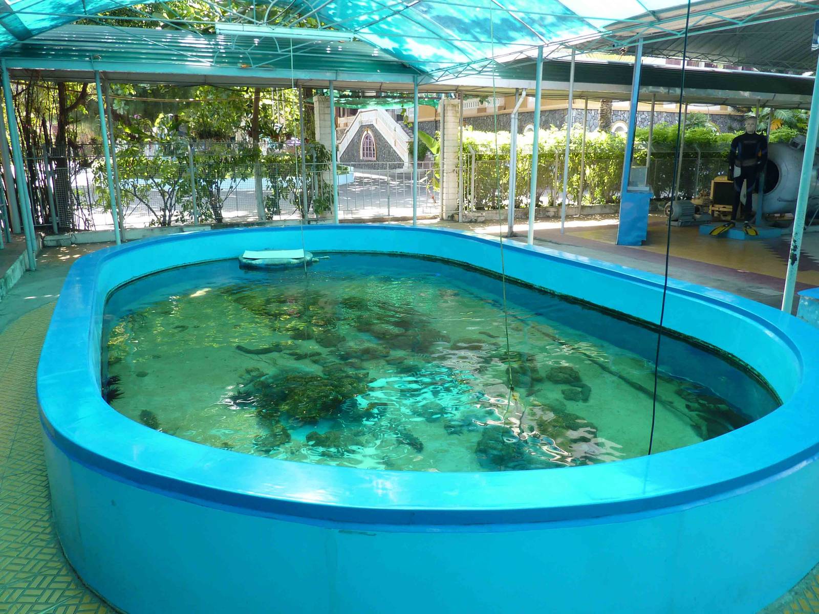 First reef pool, May 2013.