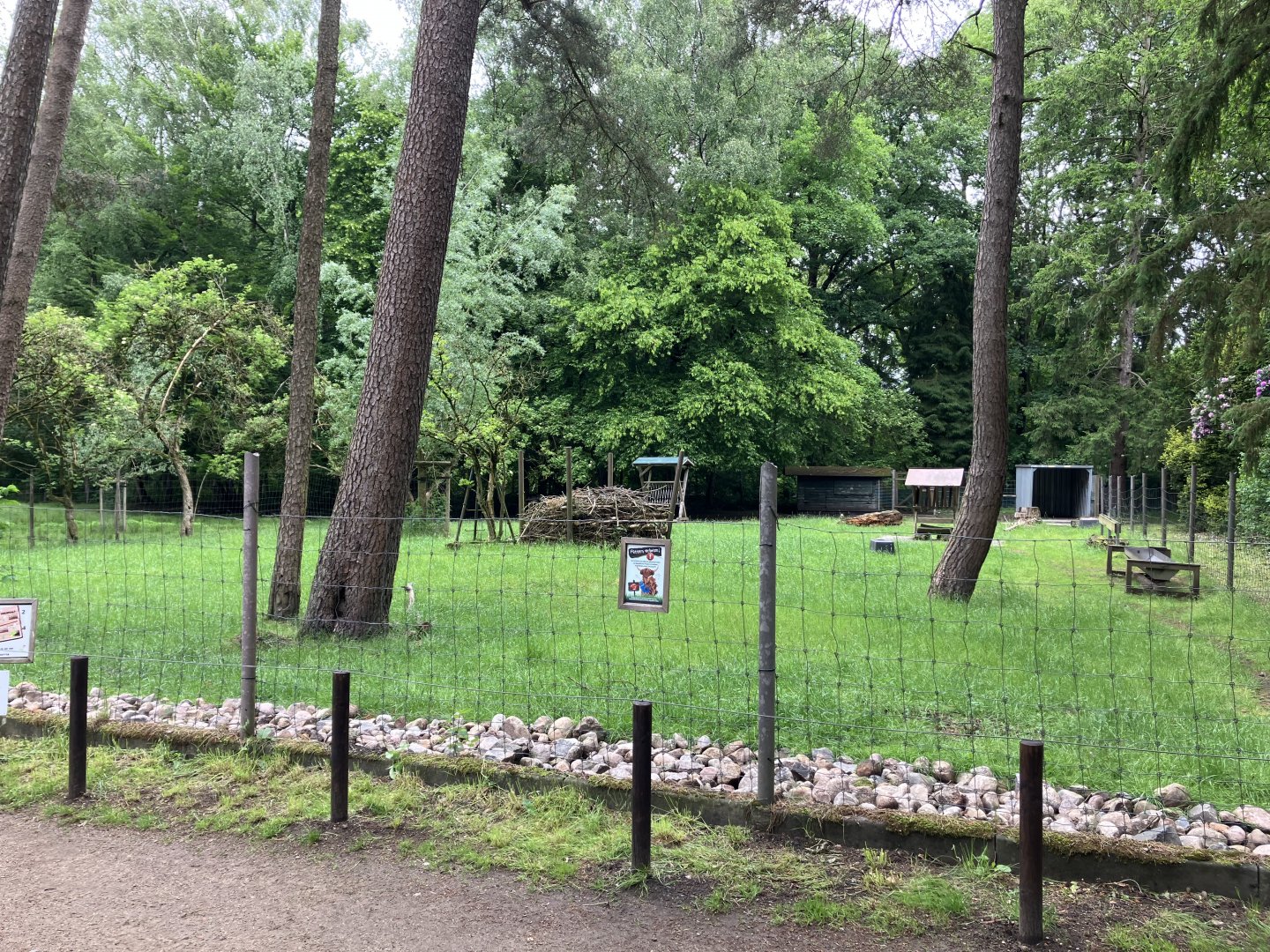 First Reindeer paddock