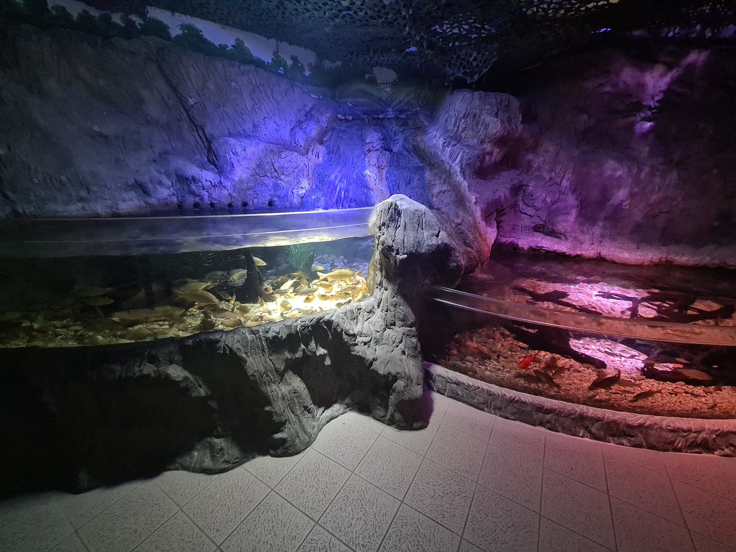 First room - Fresh water