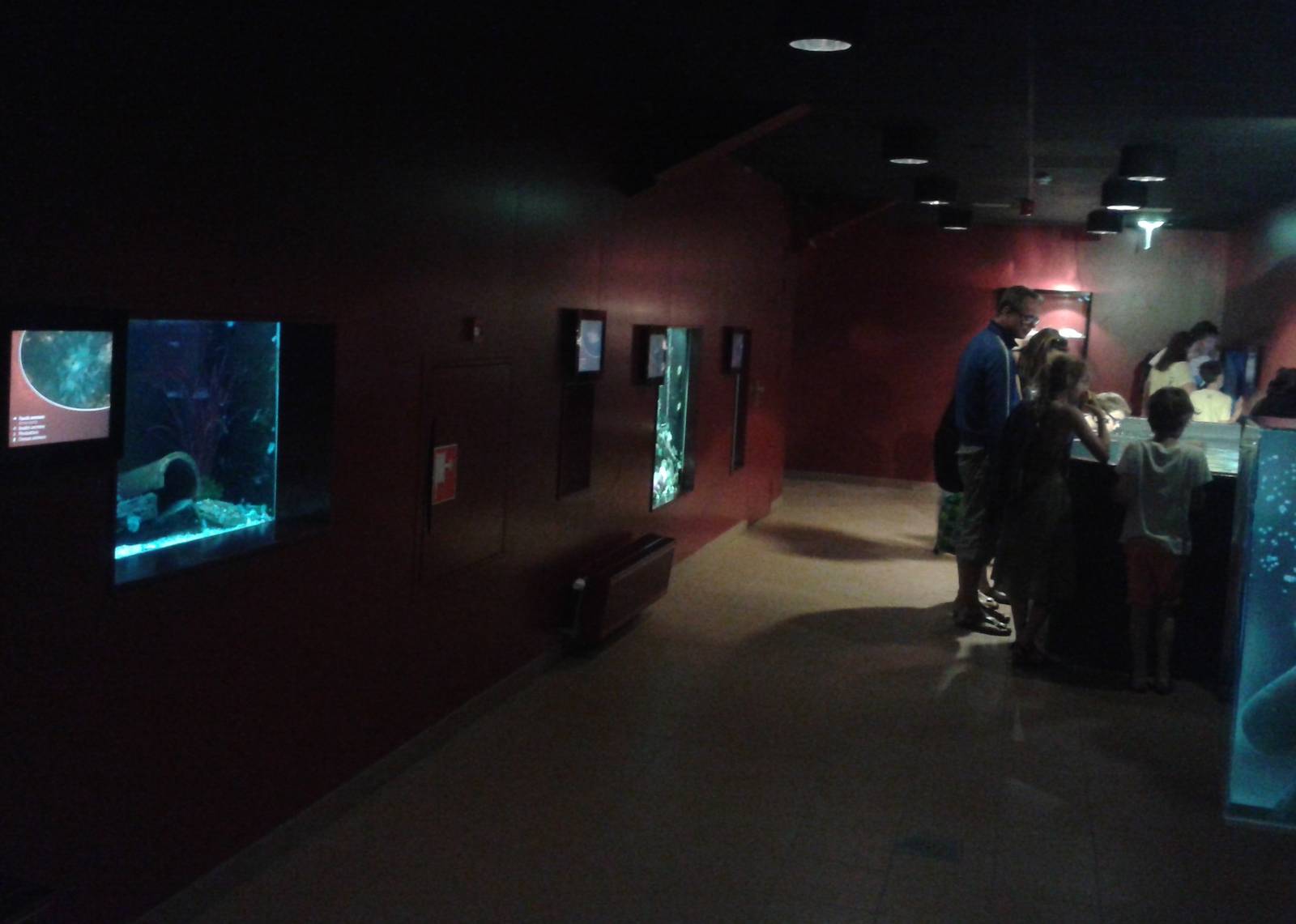First room in the aquarium building