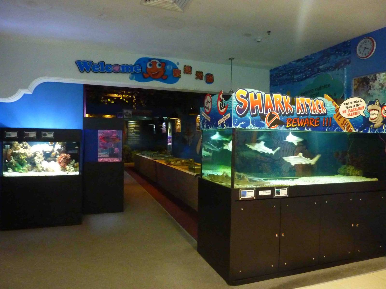 First room, May 2013.