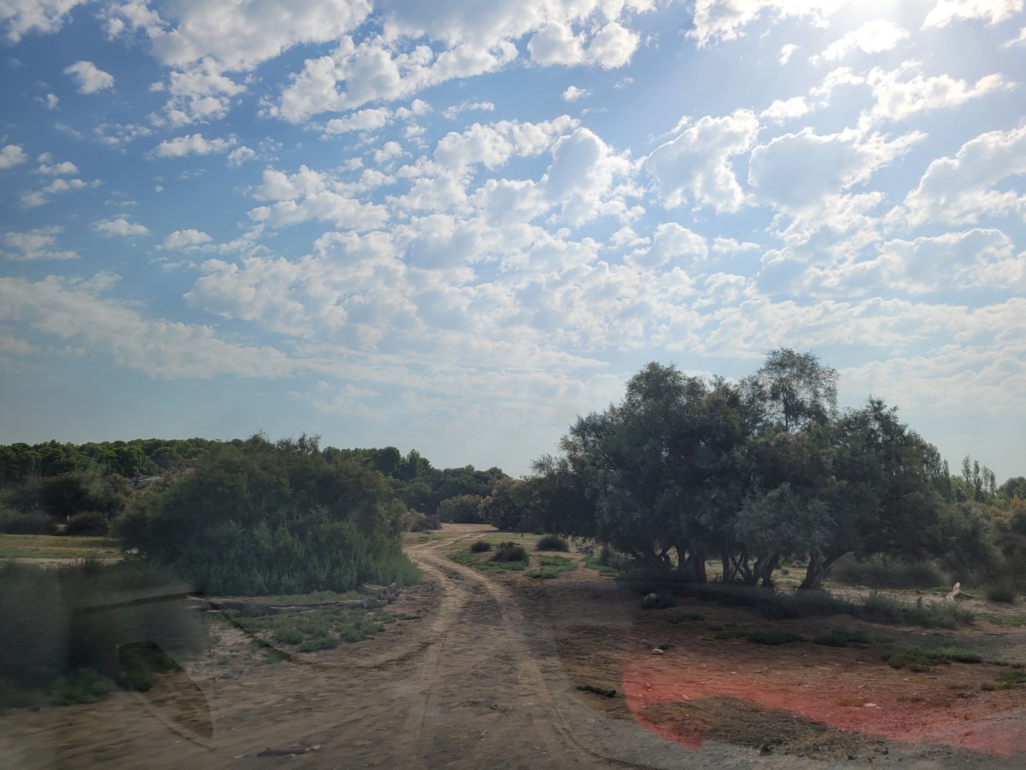 First Savannah exhibit -Réserve Africaine de Sigean (2022)