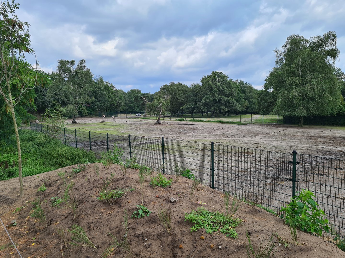 First Savannah paddock separation yard