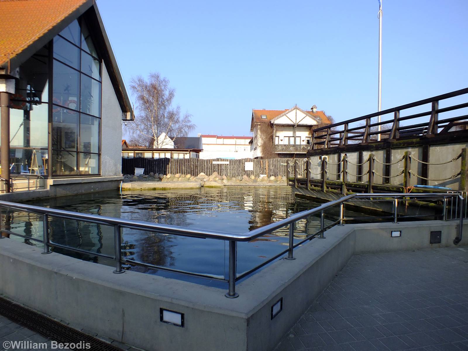 First Seal Pool - Hel Fokarium