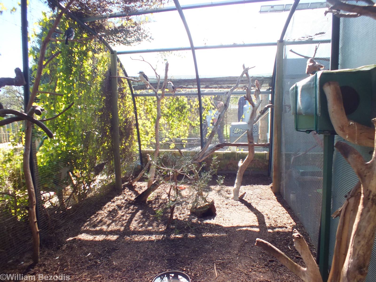 First Section of Walkthrough Aviary