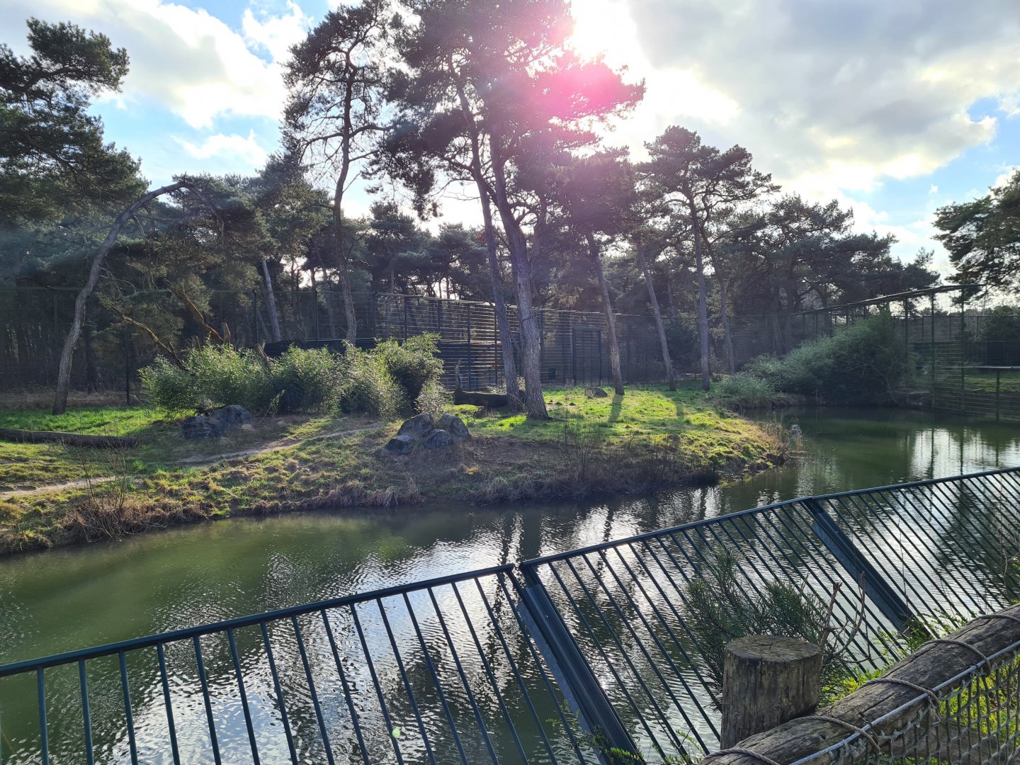 First Siberian tiger enclosure - Right side