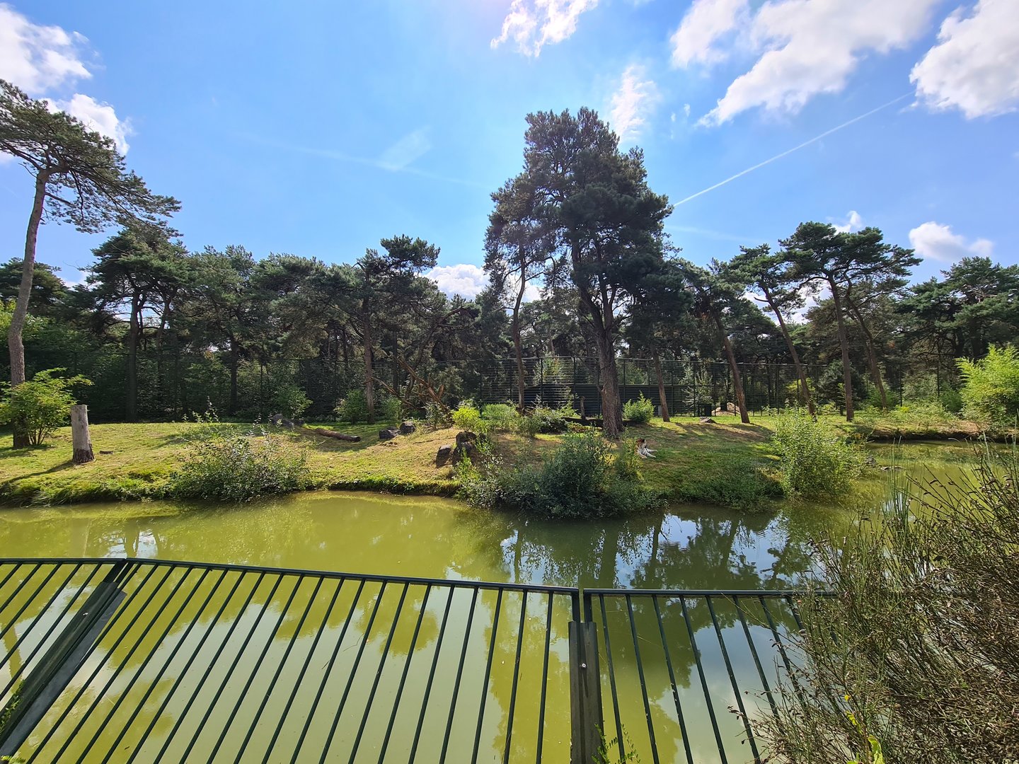 First Siberian tiger enclosure